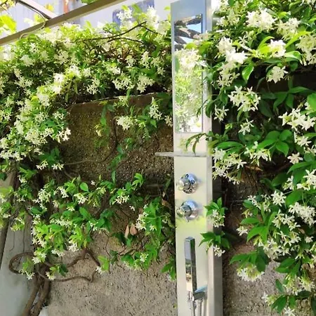 La Primavera 펜션 아나카프리