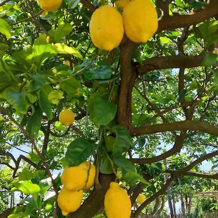La Primavera Casa vacanze