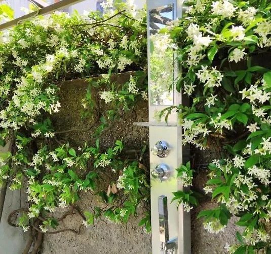 La Primavera Dom wakacyjny Anacapri (Isola di Capri)
